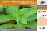 Establecimiento y mantenimiento - Stevia Endulzante Natural...Paquete Tecnológico Estevia (Stevia rebaudiana) ... Pacífico como son Sinaloa, Nayarit, Jalisco, Colima, Michoacán,