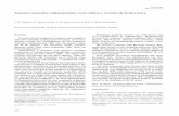 Tumores craneales radioinducidos: serie clínica y ...scielo.isciii.es/pdf/neuro/v19n4/3.pdf · mutación en el gen p533,16. En cuanto a los meningiomas, se objetiva la presencia