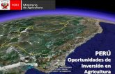 PowerPoint Presentation · Majes Il Alto Piura Olmos Puyango-Tumbes Chinecas Pampas de Concón Topará Extensión de terrenos / Land size 18 ha 38 500 ha 50 000 ha 41 000 ha ... Alcachofa