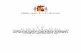 TRIBUNAL DE CUENTAS - Congreso · 2017-02-28 · El PLENO DEL TRIBUNAL DE CUENTAS, en el ejercicio de su función fiscalizadora establecida en los artículos 2.a), 9 y 21.3.a) de