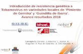 Introducción de resistencia genética a Tobamovirus en ... · Introducción de resistencia genética a Tobamovirus en variedades locales de ‘Pimiento de Gernika’ y ‘Guindilla