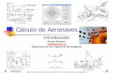 Cálculo de AeronavesCriterios de evaluación: Búsqueda de una metodología para poder evaluar algo tan complejo como el diseño de un avión. Búsqueda de criterios objetivos Metodología
