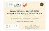Epidemiología y control de ectoparásitos en avicultura - Lucientes, J · 2018-06-24 · Ácaro rojo de las aves: Dermanyssus gallinae Importancia sanitaria Anemia Inmunosupresión