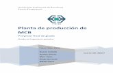 Planta de producción de MCB - UAB Barcelona · Escola d’enginyeria Universitat Autònoma de Barcelona Junio de 2017 Planta de producción de MCB Proyecto final de grado Grado en