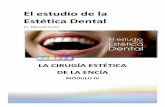 El estudio de la Estética Dental · El Estudio de la Estética Dental. Módulo IV: la cirugía Estética de la Encía DENTAL ÓPERA DOCENCIA Dr. Manuel Cueto 2 CONTENIDOS TEÓRICOS