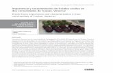 Importancia y caracterización de frutales criollos en …...Rodríguez et al. (2012) señalan que los frutales criollos son cultivos de tradición y arraigo en muchas zonas productoras