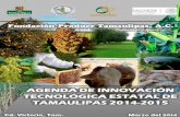FUUNNDDAACCIIÓÓNN TPPRROODDUUCCEE …producetamaulipas.net/agendas/agenda_2014.pdf · La Agenda de Innovación Estatal es un instrumento de todos los que participan en el desarrollo