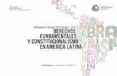 DERECHOS FUNDAMENTALES Y CONSTITUCIONALISMO EN AMÉRICA LATINAfacultad.pucp.edu.pe/derecho/wp-content/uploads/2016/11/BROCHURE-PSE... · Diversidad cultural y minorías en el constitucionalismo