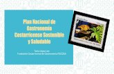 Plan Nacional de Gastronomía Costarricense Sostenible y Saludable · 2019-09-10 · vinculados a los alimentos y las bebidas ... El Plan Nacional de la Gastronomía Costarricense