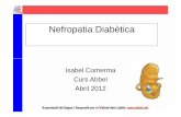 Nefropatia Diabètica · 2013-09-18 · Fases Nefropatia Diabètica I Hiperfunció II Lesió renal sense clínica III Nefropatia incipient IV Nefropatia establerta V Insuf. renal