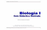 Biología I Guía Didáctica Ilustrada · 2016-02-15 · Se utilizan en este trabajo “Estrategias de adquisición de conocimiento” propuestas por Lisette Poggioli, (2000). Entre