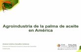 Agroindustria de la palma de aceite en Américaweb.fedepalma.org/sites/default/files/files... · 2015-09-30 · Agroindustria de la palma de aceite en América Andrea’Carolina’González’Cárdenas’