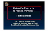 Detección Precoz de la Hipoxia Perinatal : Perfil Biofísico · la Hipoxia Perinatal : Perfil Biofísico Dr. J. Andrés Poblete Lizana Unidad de Medicina Materno Fetal Pontificia