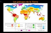Factores que inciden en el clima - Real Colegio Nuestra ... · Actualmente la selva está amenazada por la tala abusiva . 7 Climas forestales cálidos Clima tropical: Temperaturas