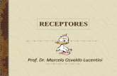 RECEPTORES - fmed.uba.ar · RECEPTORES: ¿Qué son los receptores y qué funciones cumplen?: Los receptores son macromoléculas cuya función es reconocer y fijar moléculas que provienen