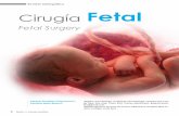 Q NNM Cirugía Fetal · de hernia diafragmática congénita y ablación de válvulas uretrales posteriores causando obstruc-ción de la vejiga, entre otras. (Hopkins, 2009) Ultrasonido