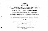 repositorio.ug.edu.ecrepositorio.ug.edu.ec/bitstream/redug/10146/1/Mendoza Alcívar... · Medianos Productores del Ecuador" Manual de buenas prácticas agrícolas y estimación de