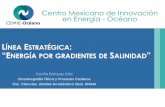 Centro Mexicano de Innovación en Energía - Océano PDF/03 LE-GSalino.pdf · 1. Evidencia de integraciónde las actividades desarrolladas en la línea S-LE1 para su mejor gestióny