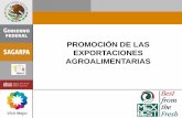 PROMOCIÓN DE LAS EXPORTACIONES AGROALIMENTARIAS · 2018-09-04 · 10 En el 2000, el 86.3% de las exportaciones agroalimentarias y pesqueras mexicanas se destinaron a EE.UU, mientras
