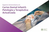 Experto Universitario en Caries Dental Infantil: Patología ......Estructura y contenido 04 La estructura de los contenidos ha sido diseñada por un equipo de profesionales conocedor