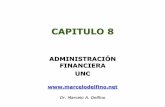 Costo del Capital de la Empresa - MARCELO DELFINOmarcelodelfino.net/files/Capitulo_8.pdf · pueden hacer las mismas operaciones que las firmas. Por lo tanto las decisiones financieras