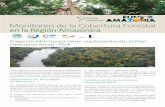 Monitoreo de la Cobertura Forestal en la Región Amazónica · a la deforestación, a la tenencia de la tierra, a los cambios en el uso del suelo y el manejo forestal sostenible.