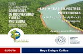 LAS AREAS SILVESTRES PROTEGIDAS · 2018-11-09 · Ámbito de Atención a las ASP En el Paraguay la temática de las ASP se encuentra atendida y diseminada en distintas normativas