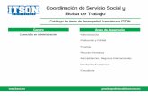 Coordinación de Servicio Social y Bolsa de Trabajo · •Planeación, proyección, diseño, construcción, instalación, operación, mantenimiento y administración de sistemas relacionados