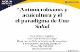 Antimicrobianos y acuicultura y el el paradigma de Una Saludaquaexpoeloro.cna-ecuador.com/wp-content/uploads/2019/07/Felipe-Cabello.pdf · se acompañan de un aumento del 30% en los