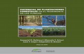 POTENCIAL DE PLANTACIONES FORESTALES EN EL … · Si bien en las últimas décadas del siglo XX, la actividad forestal comienza a declinar por diversos factores, per-siste fundamentalmente