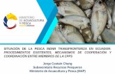 SITUACIÓN DE LA PESCA INDNR TRANSFRONTERIZA EN ECUADOR ...cpps.dyndns.info/cpps-docs-web/subsec/2017/nov/taller-pesca-indnr... · NORMATIVA PESQUERA VIGENTE - ECUADOR Ley de Pesca