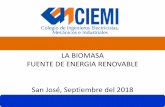 LA BIOMASA FUENTE DE ENERGIA RENOVABLE San José ... CIEMI (3).pdf · La bioenergía es un tipo de energía renovable que se obtiene de materia orgánica, la cual también es conocida
