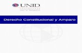 Derecho Constitucional y Amparo - UNID · juicio de amparo en materia penal y su clasificación. Contextualización Hemos analizado la interposición del amparo en materia penal de