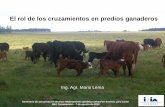 El rol de los cruzamientos en predios ganaderosºblicos/INIA Tacuarembó/2015/seminario mejoramiento genetico...para la explotación del vigor híbrido y la complementariedad entre