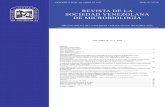 Revista de la Sociedad Venezolana de Microbiología - 38.II ... · Enterobacterias y bacilos gramnegativos no fermentadores en la cavidad bucal de pacientes VIH+. Enterobacteria and