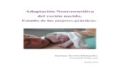 Adaptación Neurosensitiva del recién nacido...Adaptación Neurosensitiva del recién nacido. Estudio de las mejores prácticas. 1 RESUMEN En la actualidad, los cuidados del recién