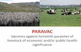 PARAVAC - Home - Cámara de Comercio de Lima200.37.9.27/DataArchivoCCL/horizonte2020/paravac.pdfProyecto de Investigación Objetivo: Desarrollo de vacunas y sistemas de detección