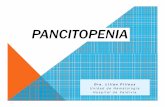Pancitopenia.ppt [Modo de compatibilidad]hematologia.org/bases/arch1073.pdf · o Presencia simultánea de anemia, leucopenia y trombocitopenia. o No es una enfermedad en sí, sino