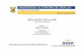 BIOLOGÍA CELULAR - Universidad Autónoma de Sinaloadgep.uas.edu.mx/programas2018/semestre6/Biologiacelular__QB_PLAN2015.pdfEgresado del Bachillerato de la UAS, y al mismo tiempo con
