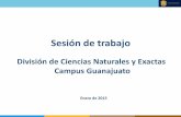 División de Ciencias Naturales y Exactas Campus Guanajuato · dÍas semana (72 hrs semana disponibles) espacios por sede total de hora disponibles a la semana total de hora utilizados
