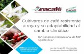 Cultivares de café resistente a roya y su adaptabilidad alagromip.com.gt/ponencias /CONFERENCIAS MAGISTRALES/12... · Cultivares de café resistente a roya y su adaptabilidad al