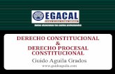 DIPLOMADO TALLER DE DERECHO PROCESAL CONSTITUCIONALguidoaguila.com/ckfinder/userfiles/files/4-8-14 GAG... · INCONSTITUCIONALIDAD POR OMISIÓN: ELEMENTOS Una exigencia constitucional
