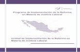 Programa de Implementación de la Reforma en Materia de ... · 5 La JFCA desde que fue creada en 1927 está integrada de forma tripartita: “por igual número de representantes de