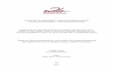 FACULTAD DE INGENIERÍA Y CIENCIAS AGROPECUARIAS …dspace.udla.edu.ec/bitstream/33000/3516/1/UDLA-EC-TTRT-2013-06(S).pdf · Redes Activas: red de fibra óptica con elementos activos