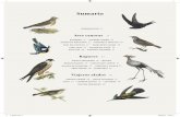 Sumario · 2018-10-24 · los espectáculos más fascinantes de la naturaleza. «Aves útiles» estudia cómo hemos aprendido a sacar provecho de las aves. El ejemplo más claro es