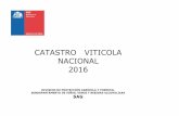 CATASTRO VITICOLA NACIONAL 2016 - SAG · catastro viticola nacional (hectáreas) aÑo 2016 cuadro n° 2 pisquera vinÍfera arica 15,00 15,00 tarapaca 2,10 2,10 antofagasta 4,97 4,97