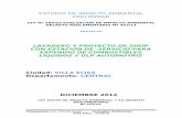 ESTUDIO DE IMPACTO AMBIENTAL PRELIMINARarchivo.seam.gov.py/sites/default/files/users/control/lavadero_ricardo.mont_.pdf · 5.1.4 CONDUCCION DE COMBUSTIBLES (CAÑERIAS): El sistema