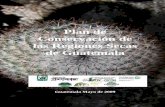 Plan de Conservación de las Regiones Secas de …...En Guatemala, el bosque seco presenta una extensión de actualmente ,001 km² 4 (3.67 % del país) habiéndose perdido un 75% de