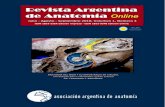 REVISTA ARGENTINA DE ANATOMÍA ONLINE · revista@anatomia-argentina.com.ar, con. copia a las siguientes direcciones: fbianchi@fibertel.com.ar, cmedan@gmail.com. y. nicolasottone@gmail.com.