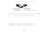 Gestión de servidores DHCP en entornos Microsoftadimen.si.ehu.es/~rigau/teaching/EHU/PFCs/GuillermoFeijoo2010-2011/... · 5.2 Manual de usuario ----- 55 Página 3. Gestión de servidores